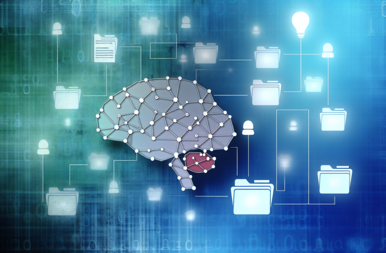 What Is Knowledge Management and How It Works